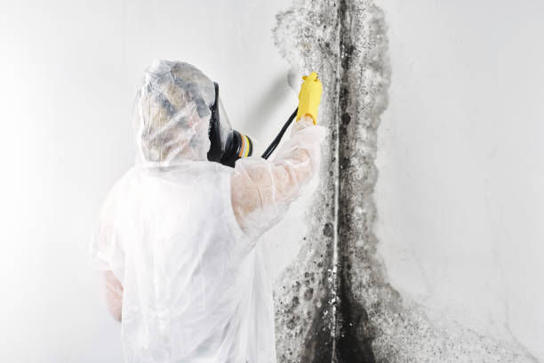 Water damage restoration experts in Iron River, MI